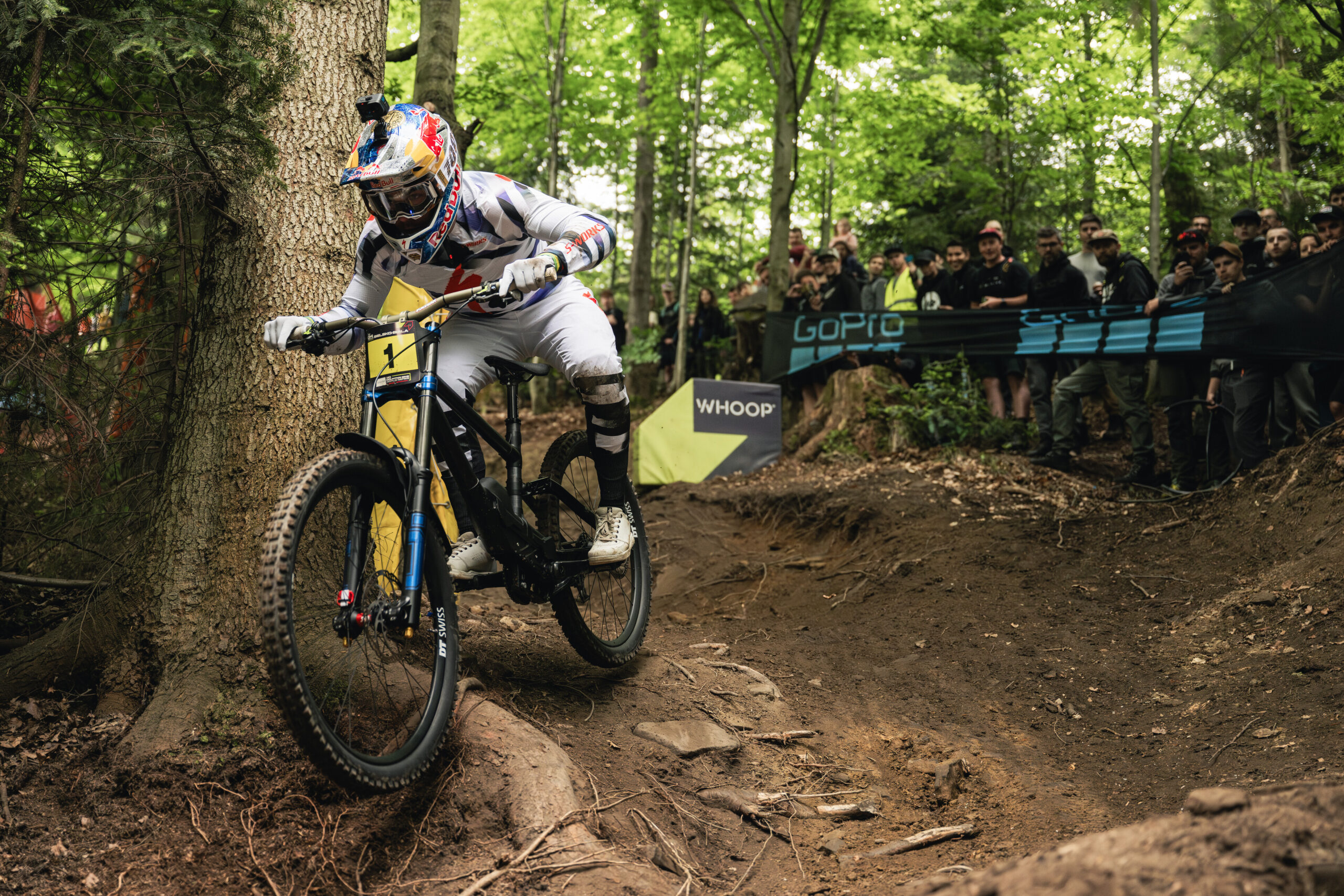 Loic Bruni